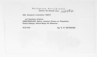 Image Associated With the Occurrence
